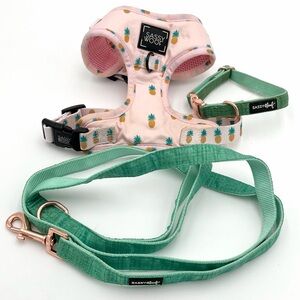 Sassy Woof Pina Colada Harness and Wag Your Teal Collar and Leash Bundle Size XS